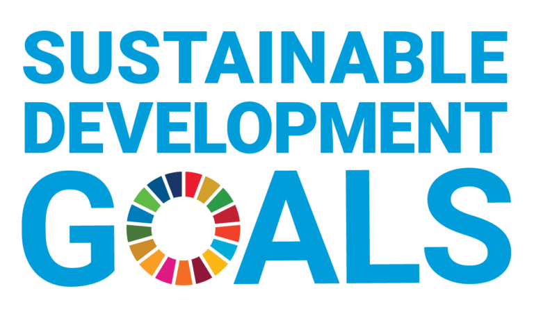 Unequal Progress: Roma Inclusion in 2025 SDG Reviews Remains Incomplete Across Europe