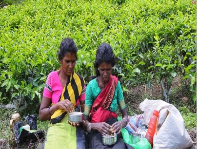 Voice from the Hills: The Malaiyaga Tamil Community in Sri Lanka Unflagging Dedication for Two Centuries