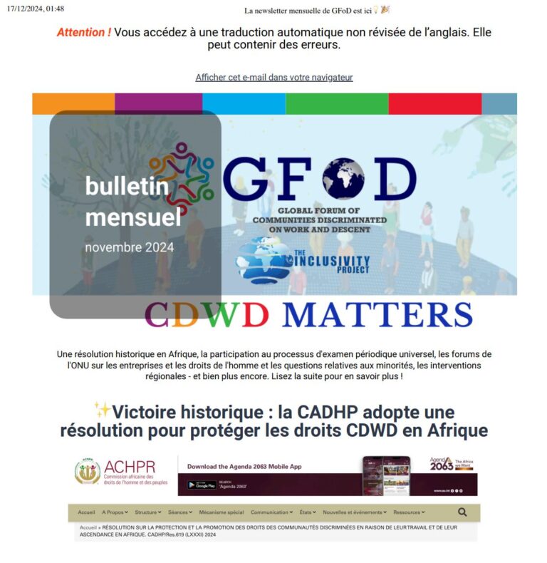 Newsletter: November 2024, French Edition